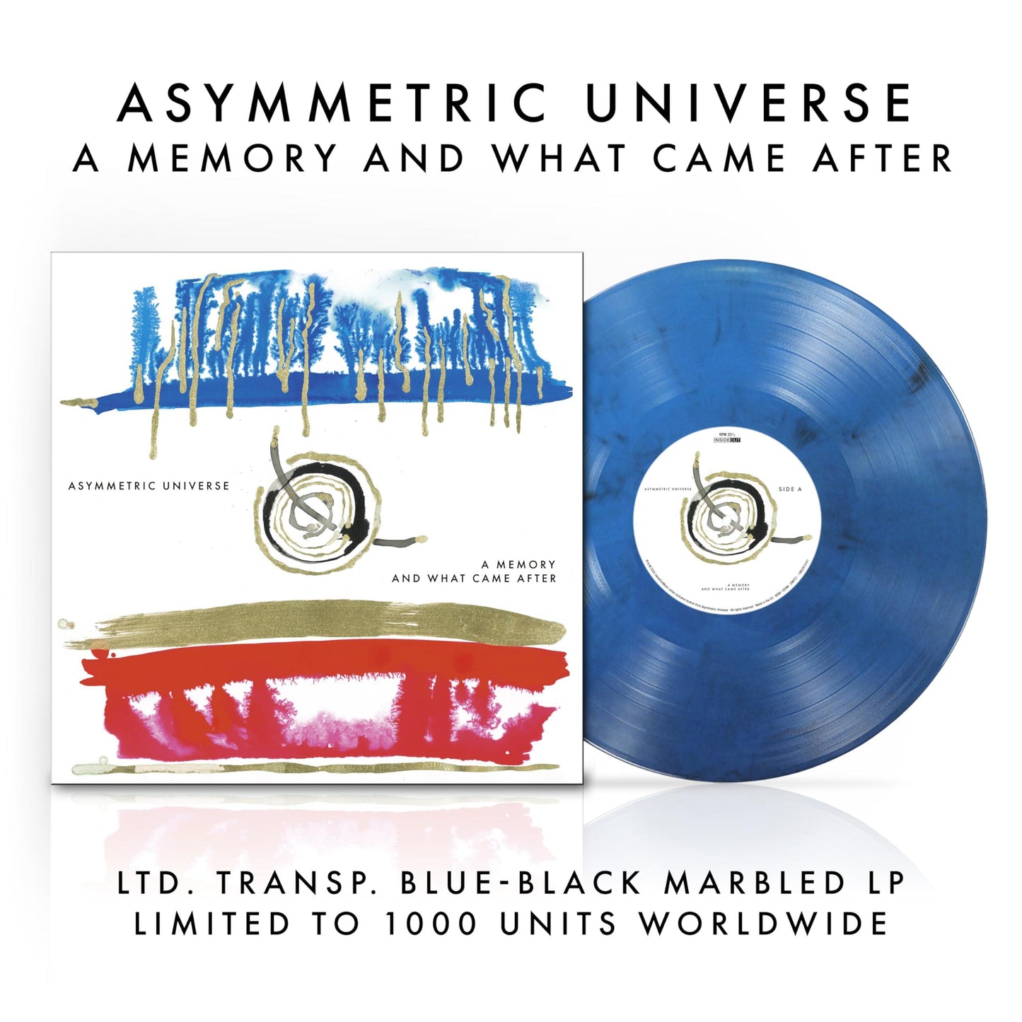 Asymmetric Universe - A Memory and What Came After - Lp