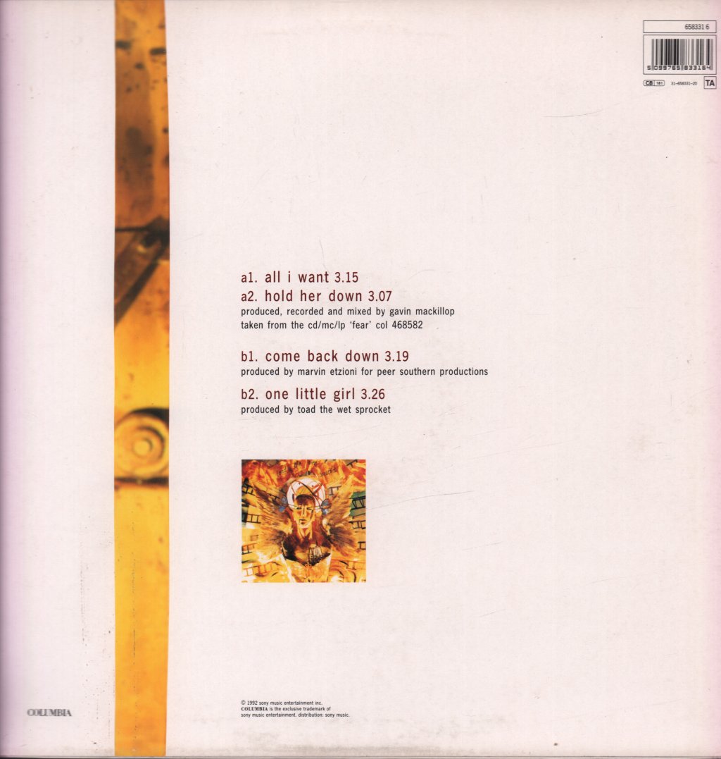Toad The Wet Sprocket (Us) - All I Want - 12 Inch