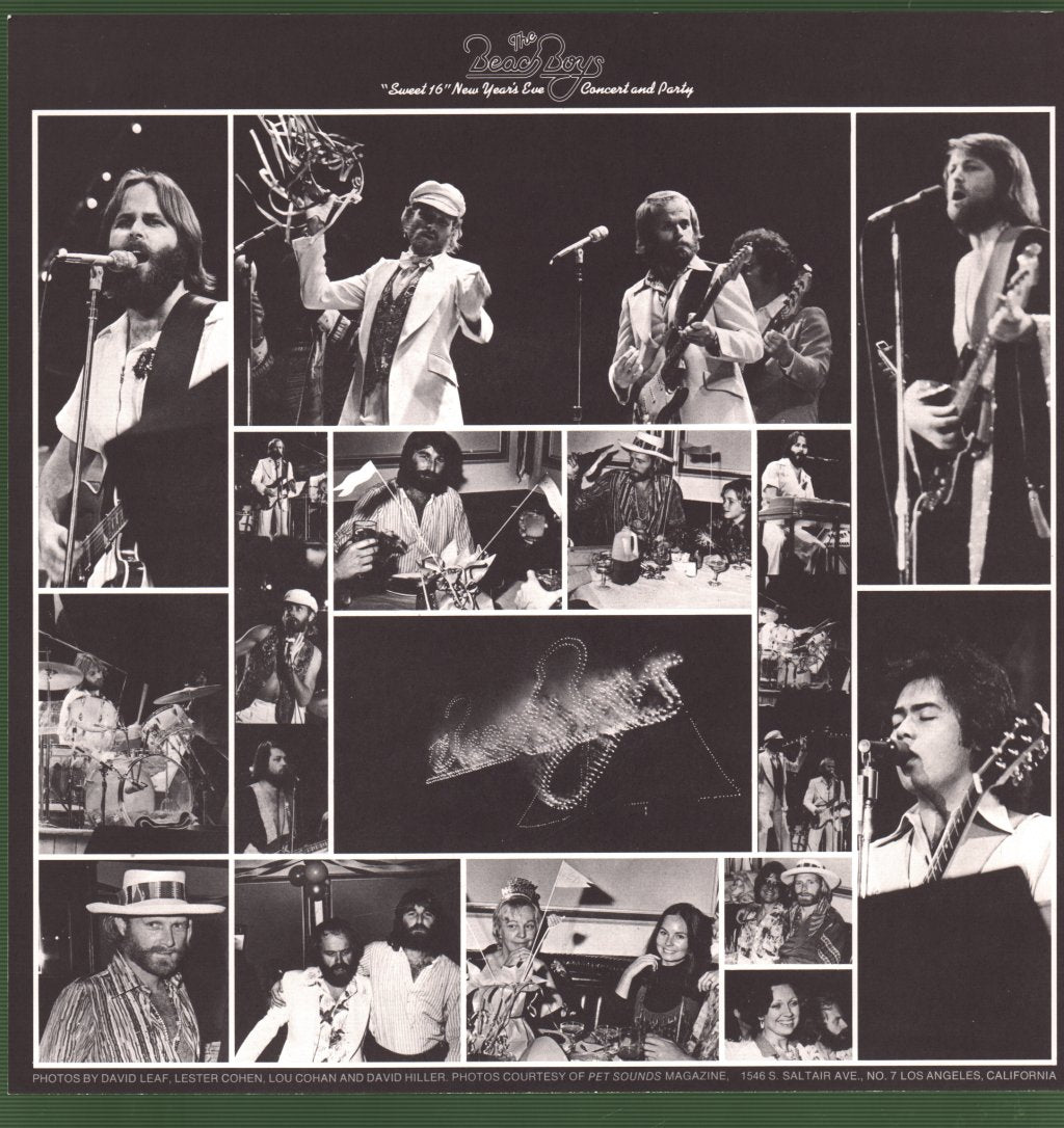 Beach Boys - Love You - Lp
