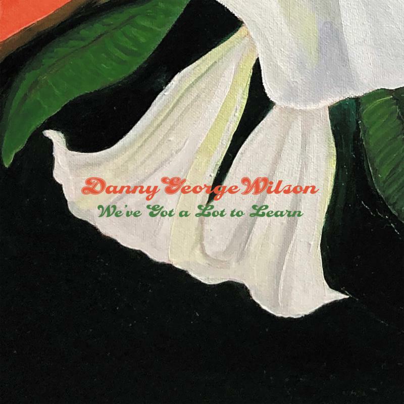 Danny George Wilson - We've Got A Lot To Learn - 7 Inch