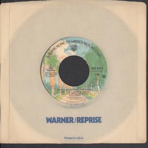 Pal Rakes - That's When The Lyin' Stops - 7 Inch