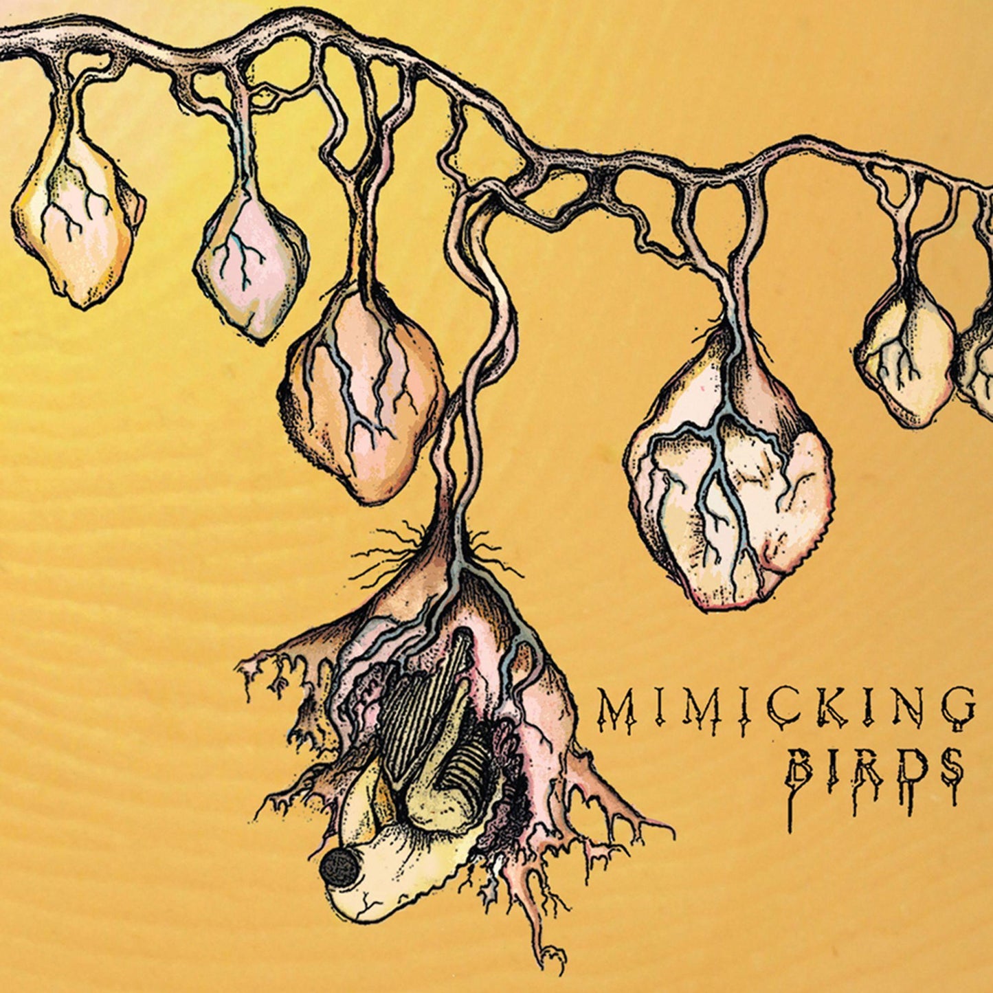 Mimicking Birds - Mimicking Birds - Lp
