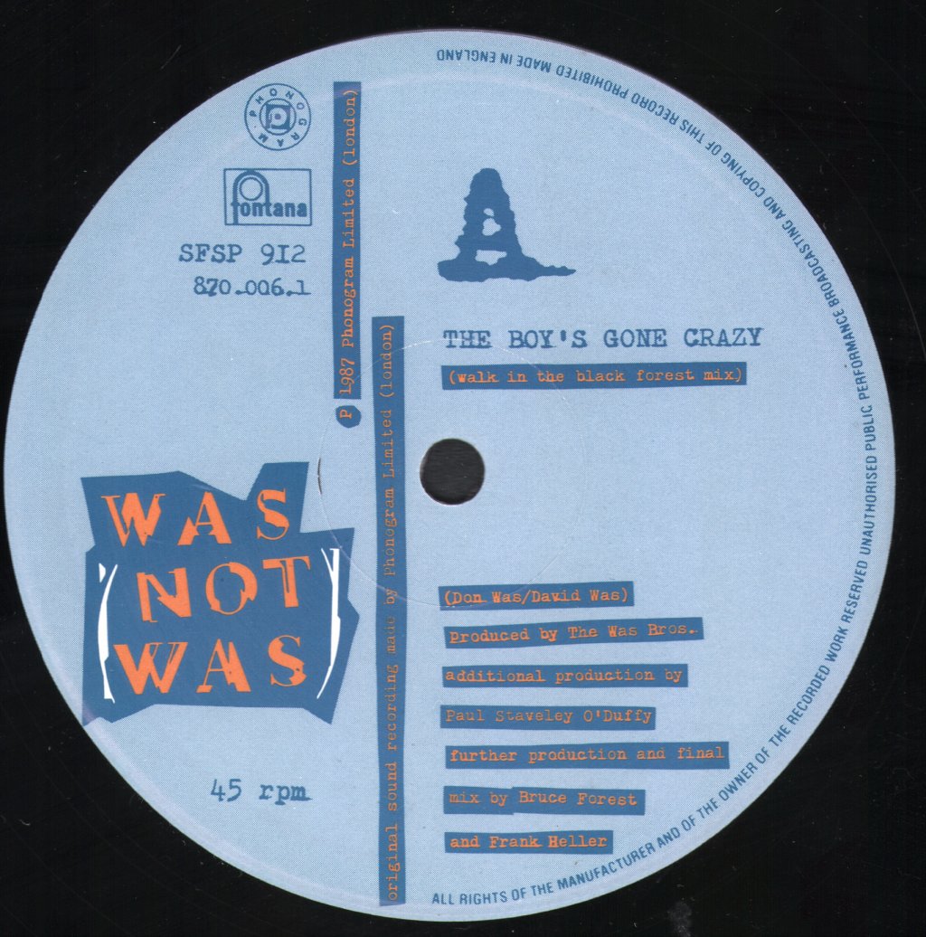 Was Not Was - Boys Gone Crazy - 12 Inch