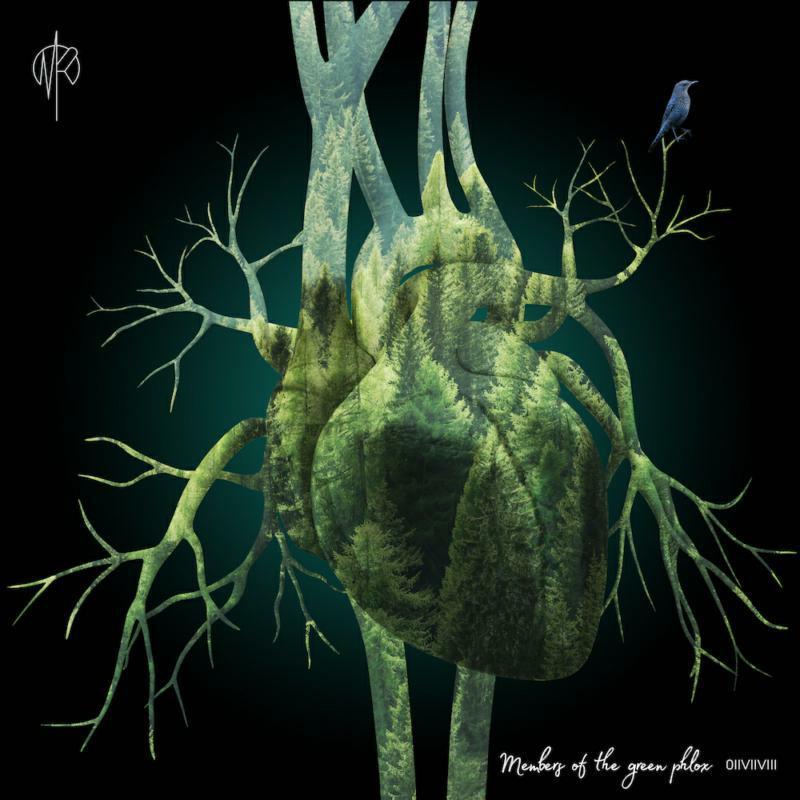 Martin Rubashov - Members of the Green Phlox - Lp