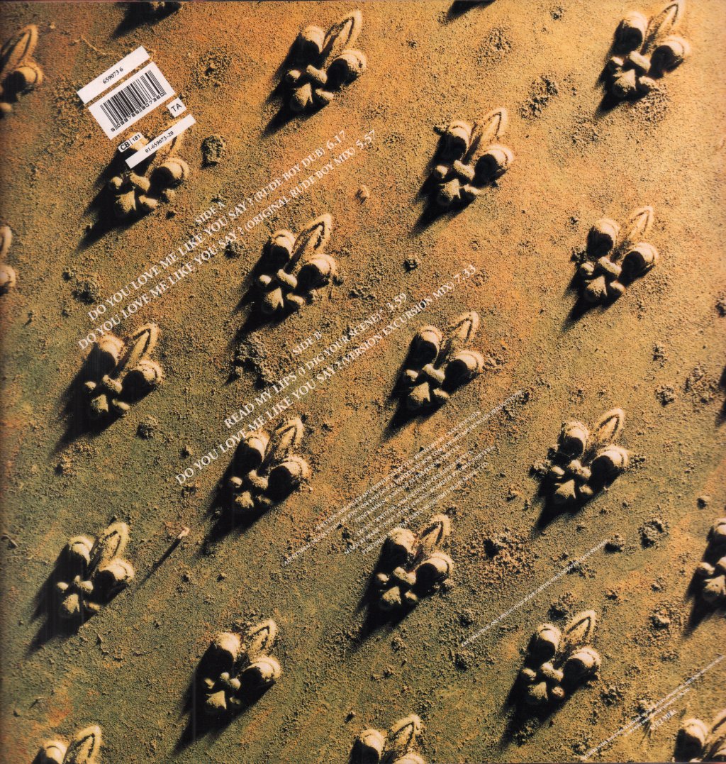 Terence Trent D'Arby - Do You Love Me Like You Say - 12 Inch