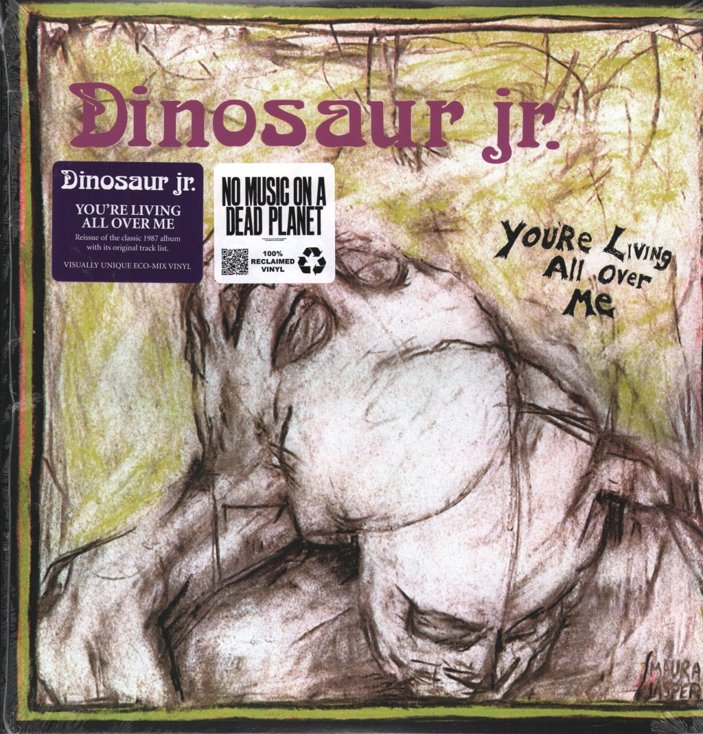 Dinosaur Jr. - You're Living All Over Me - Lp