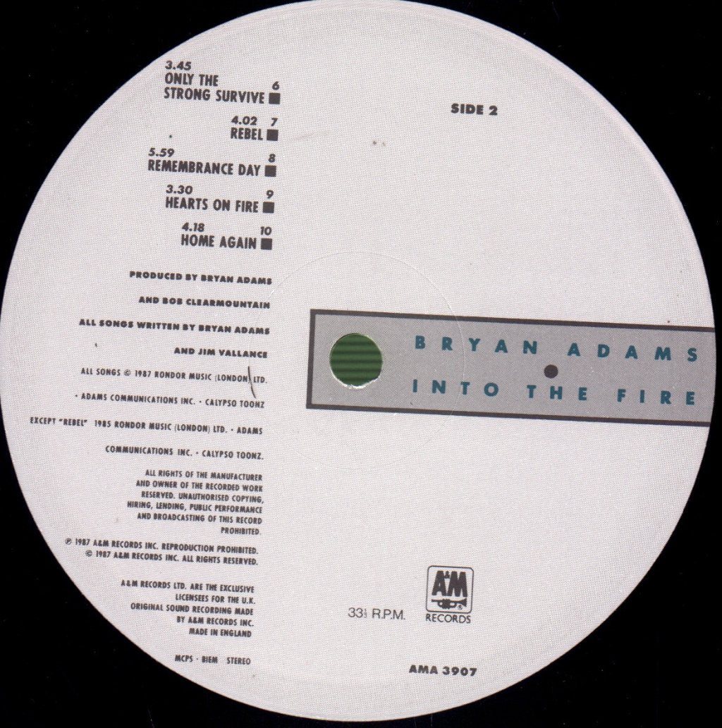 Bryan Adams - Into The Fire - Lp