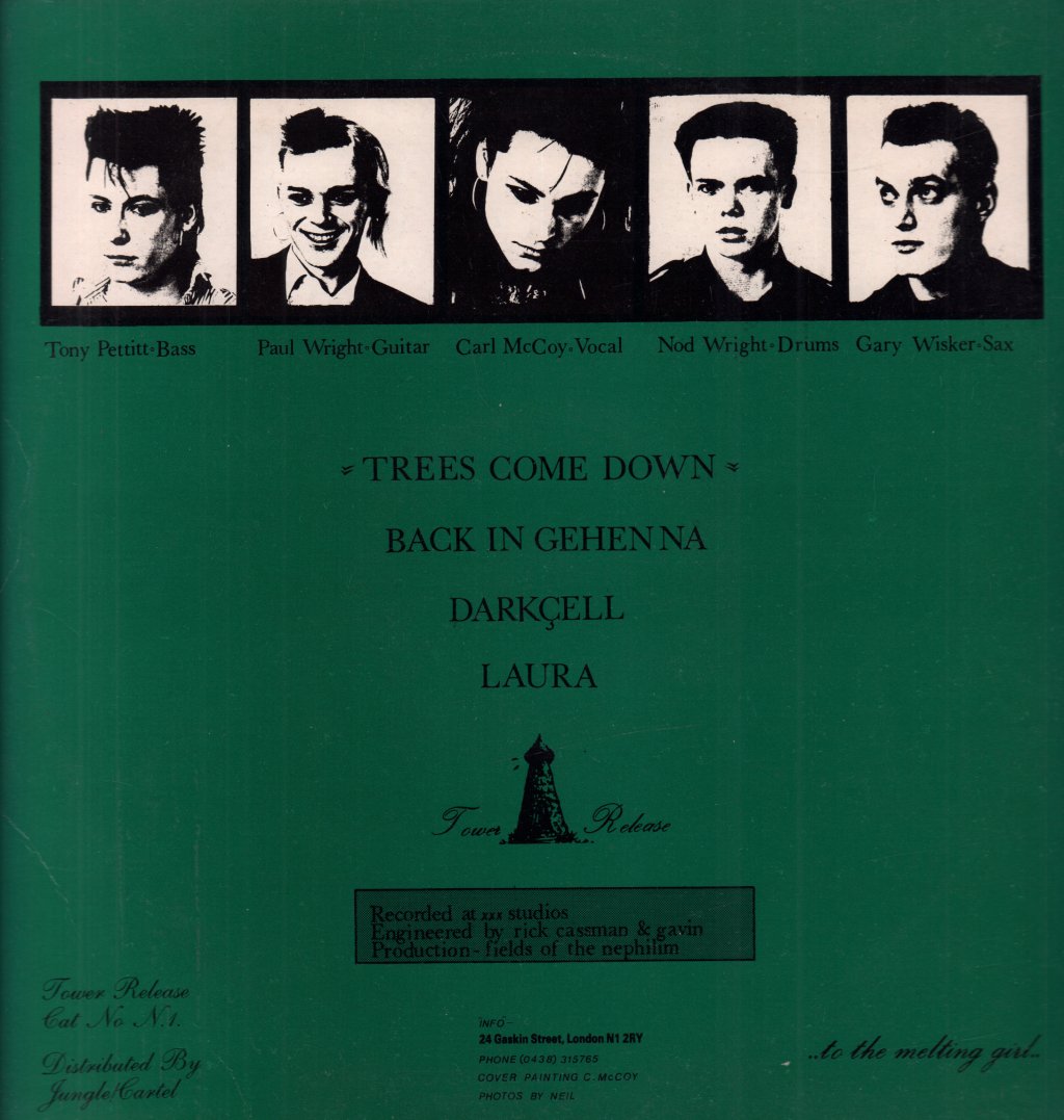 Fields Of The Nephilim - Burning The Fields - 12 Inch