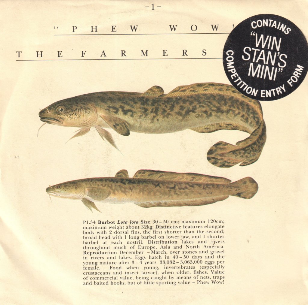 Farmer's Boys - Phew Wow - 7 Inch
