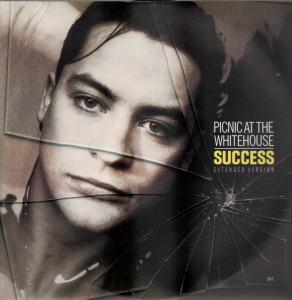 Picnic At The Whitehouse - Success - 12 Inch