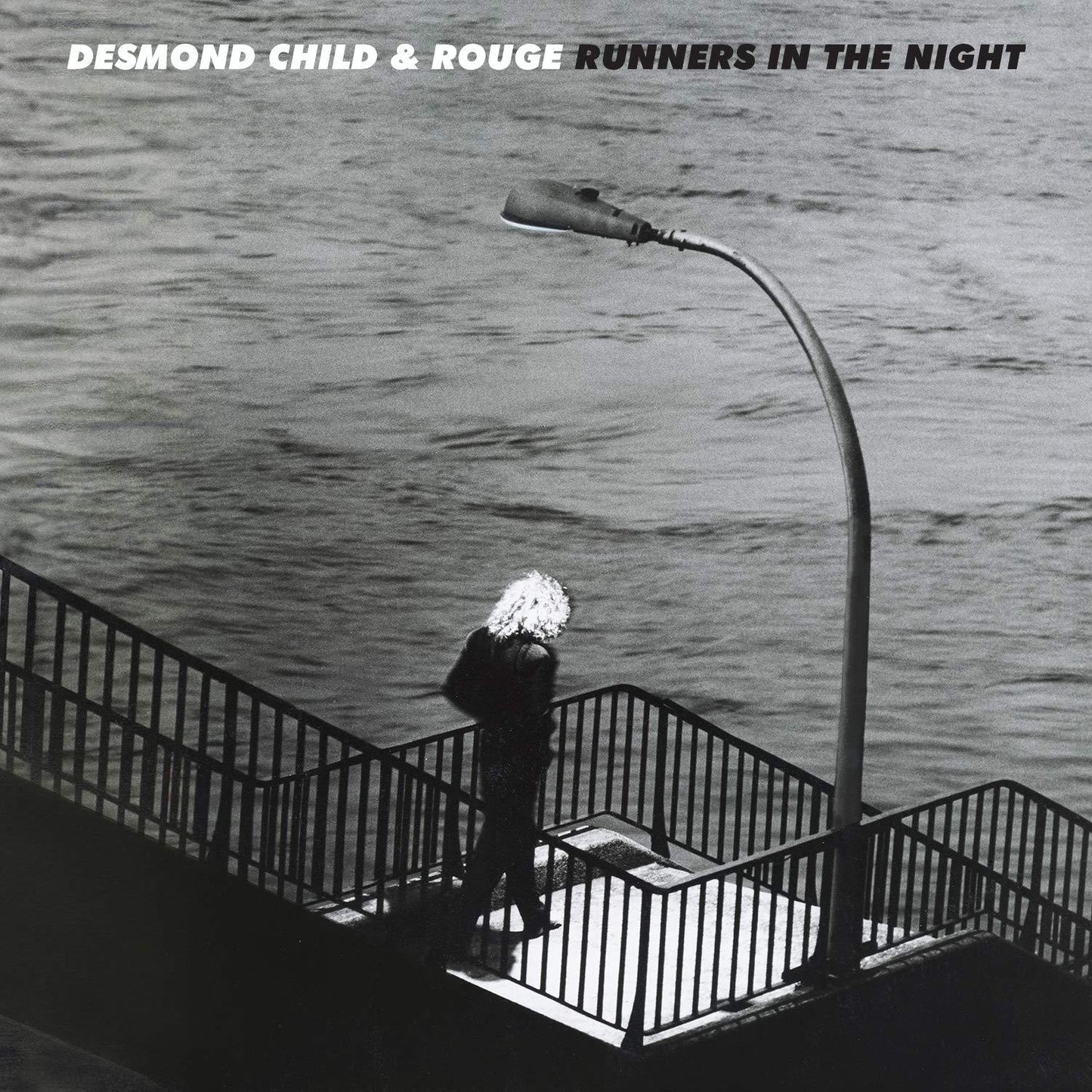 Desmond Child And Rouge - Runners In the Night - Cd
