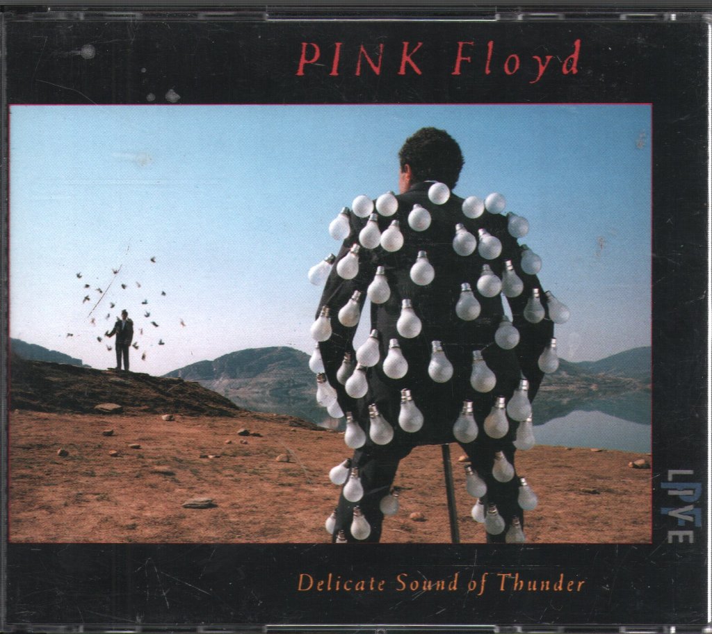 Pink Floyd - Delicate Sound Of Thunder - Cd Set