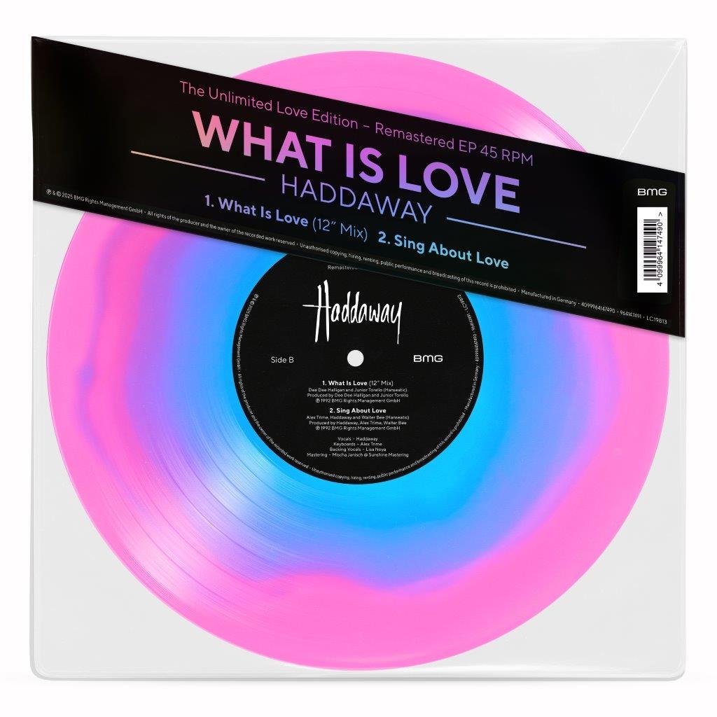 Haddaway - What Is Love - 10 Inch