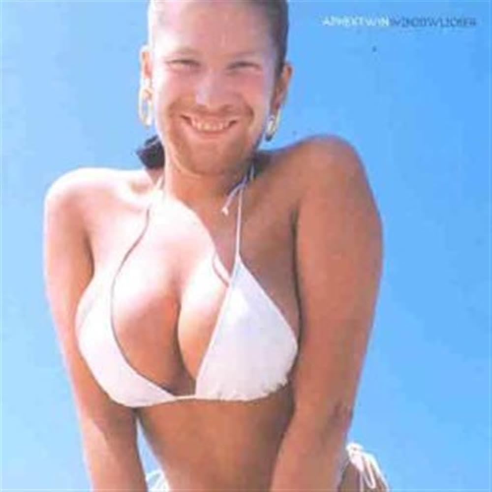 Aphex Twin - Windowlicker - 12 Inch