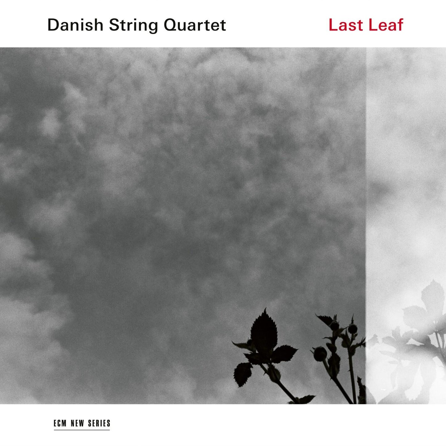 Danish String Quartet - Last Leaf - Cd