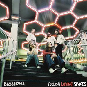 Blossoms - Foolish Loving Spaces - Lp