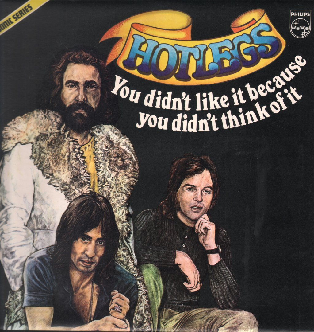 Hotlegs - You Didn't Like It Because You Didn't Think Of It - Lp