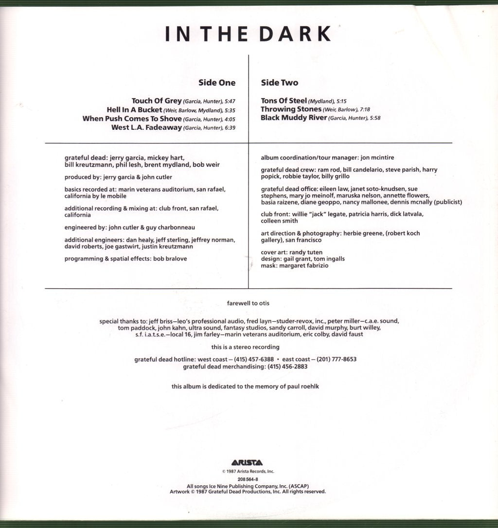 Grateful Dead - In The Dark - Lp
