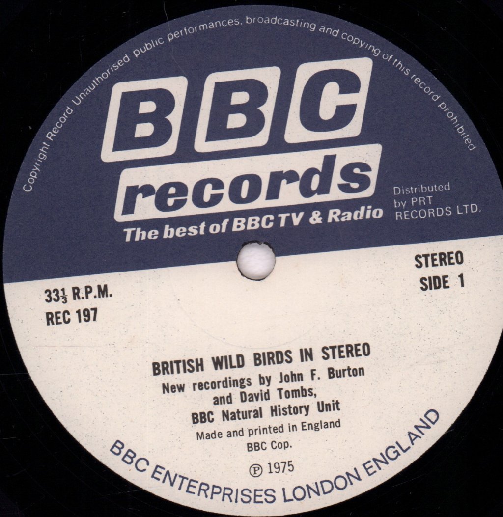 British Wild Birds In Stereo - British Wild Birds In Stereo - Lp