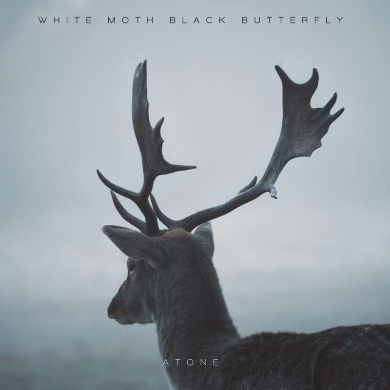 White Moth Black Butterfly - Atone - Cd