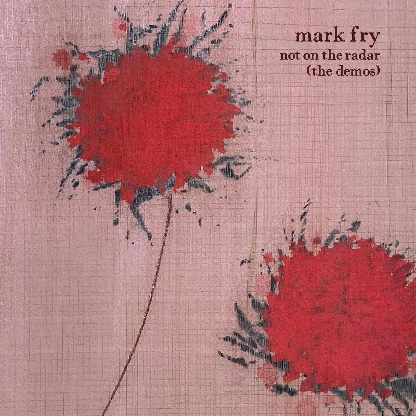 Mark Fry - Not On the Radar (The Demos) - Lp