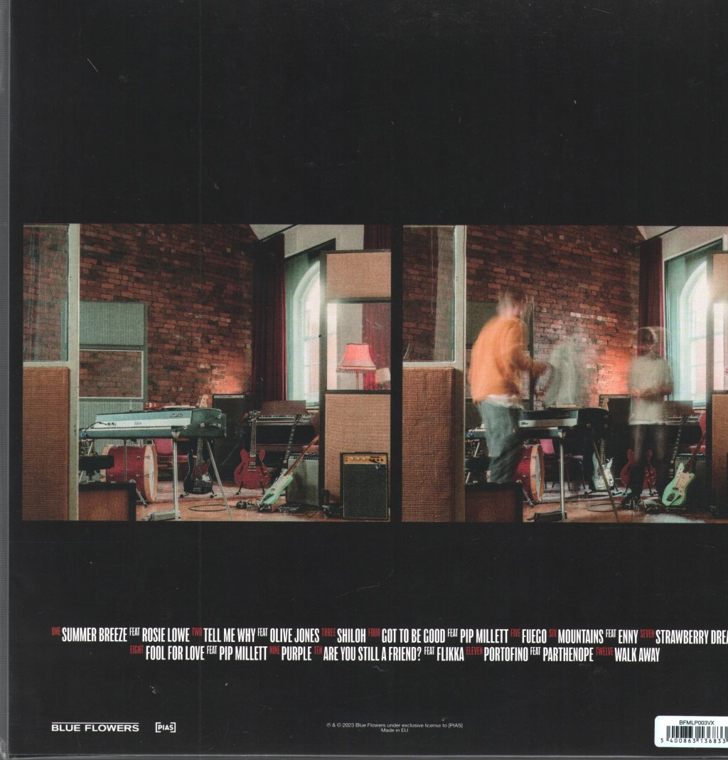 Gotts Street Park - On The Inside (Dinked Edition #247) - Lp
