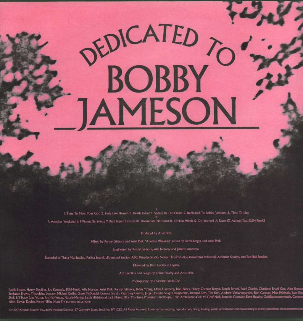 Ariel Pink - Dedicated To Bobby Jameson - Lp