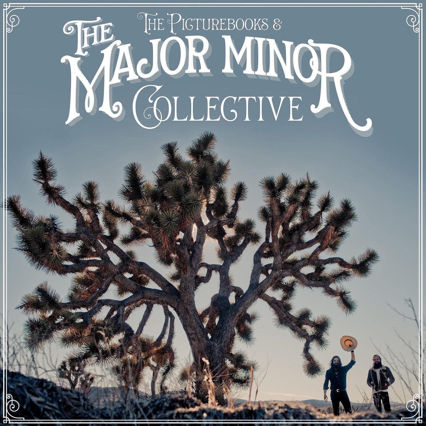 Picturebooks - Major Minor Collective - Lp