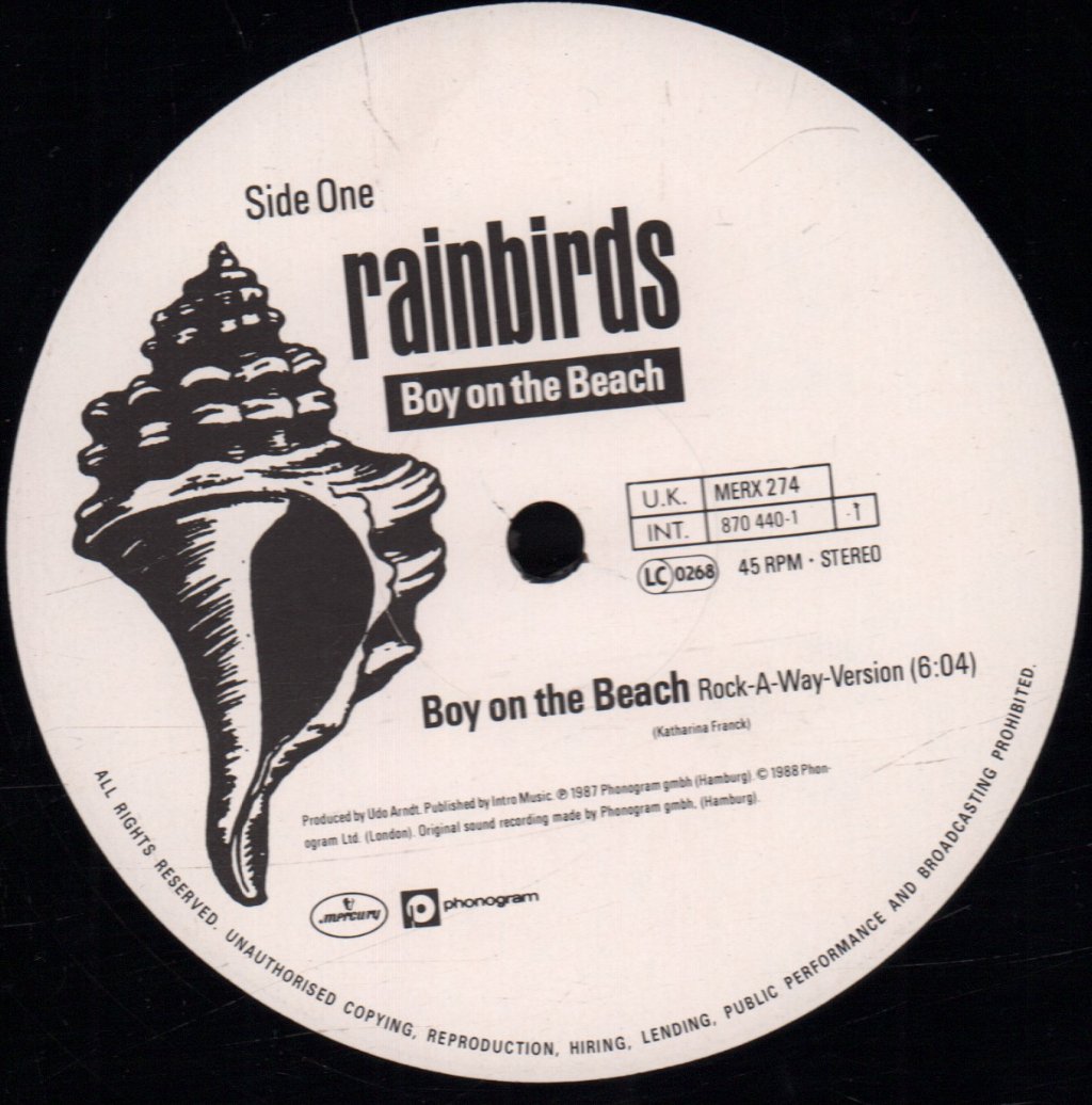 Rainbirds - Boy On The Beach - 12 Inch