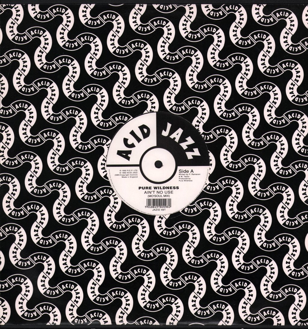 Pure Wildness - Ain't No Use - 12 Inch