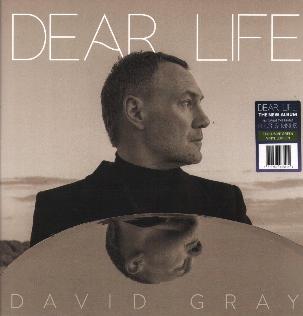 David Gray - Dear Life - Double Lp