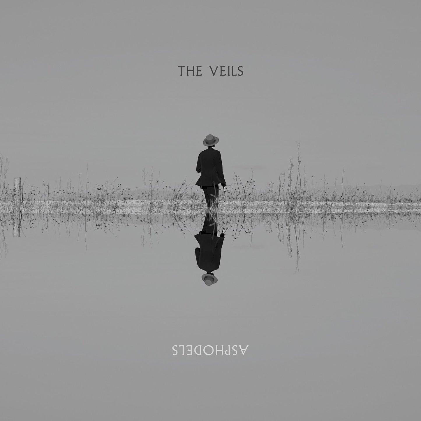 Veils - Asphodels - Lp