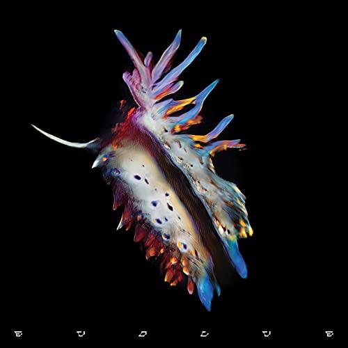 Sub Focus - Evolve - Double Lp