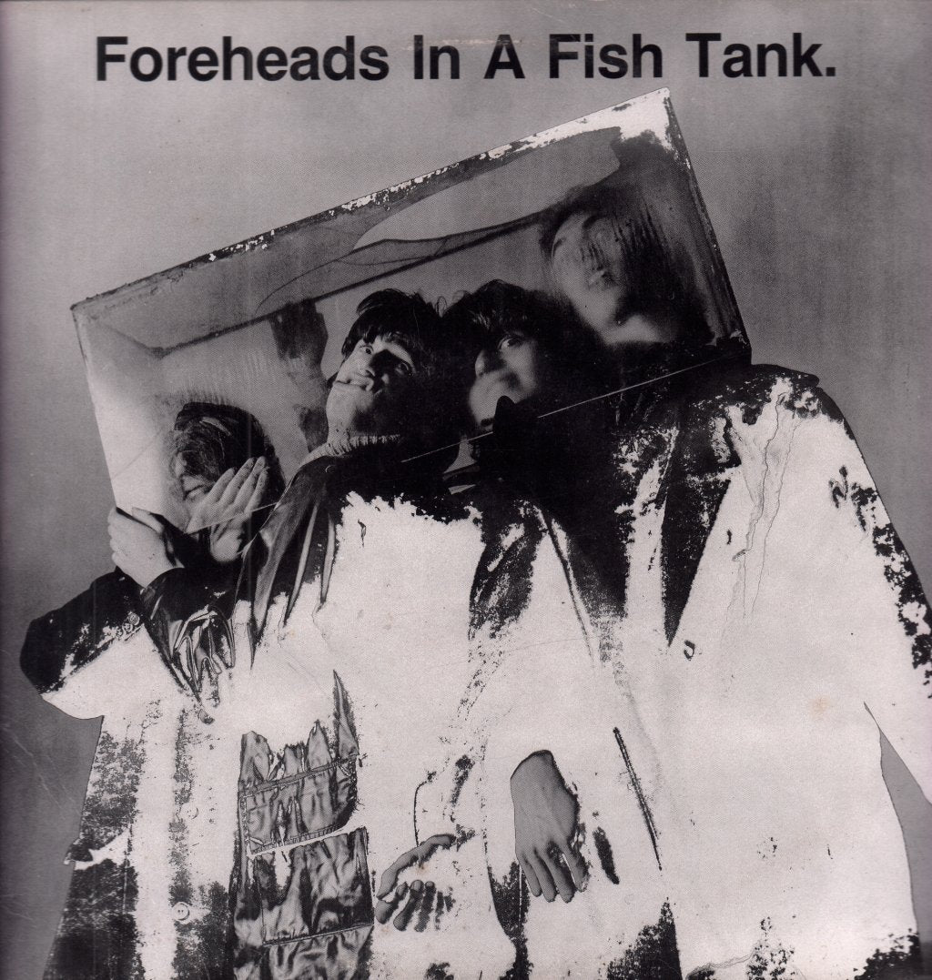 Foreheads In A Fishtank - Foreheads In A Fish Tank - 12 Inch