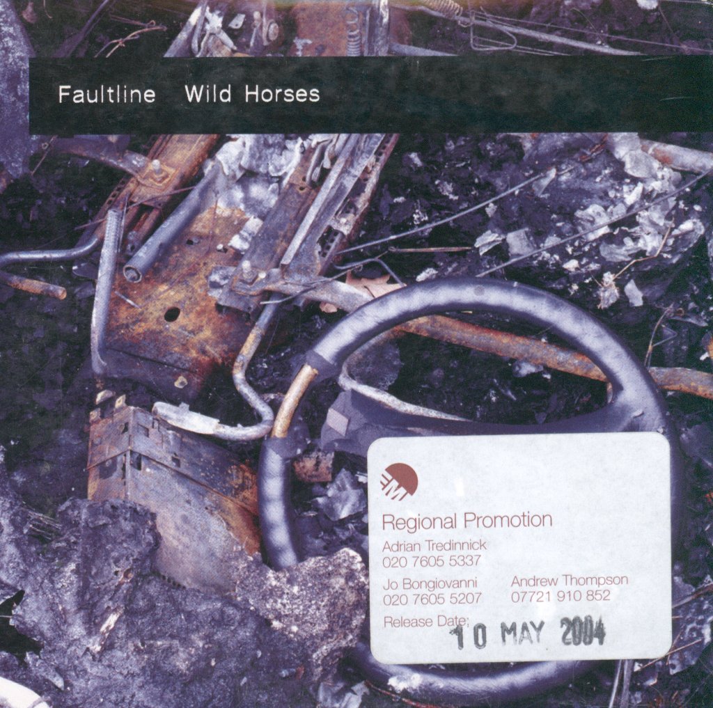 Faultline - Wild Horses - Cd