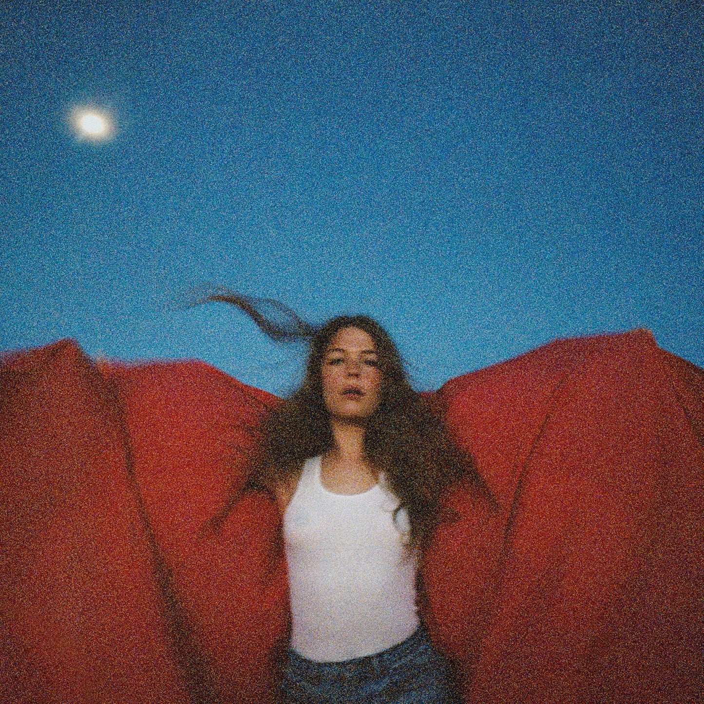 Maggie Rogers - Heard It In A Past Life - Lp