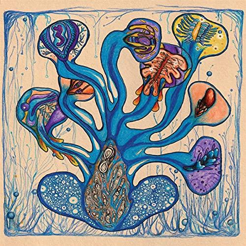 Houeida Hedfi - Fleuves de L'ame - Cd