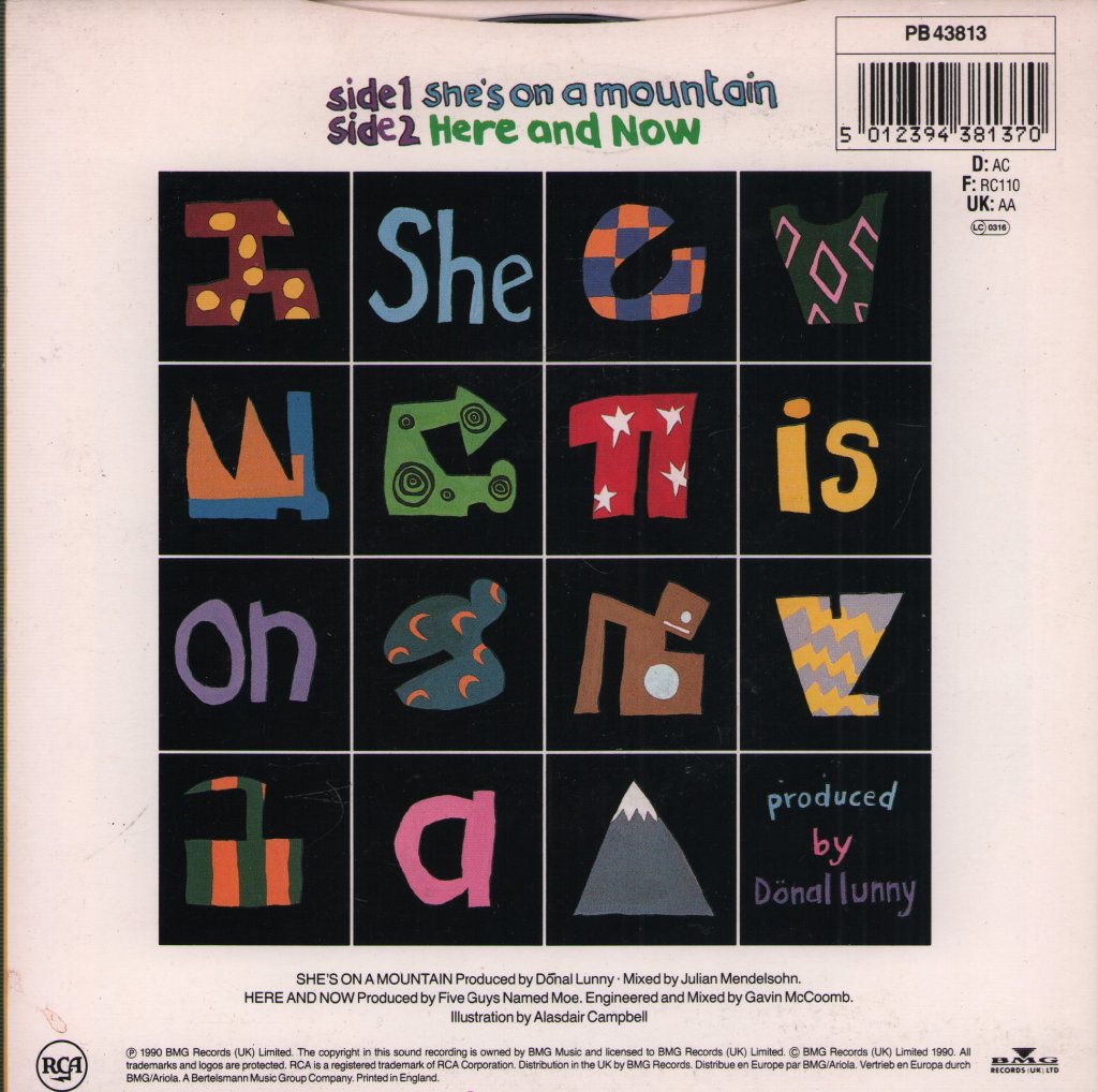 Five Guys Named Moe - She's On A Mountain - 7 Inch