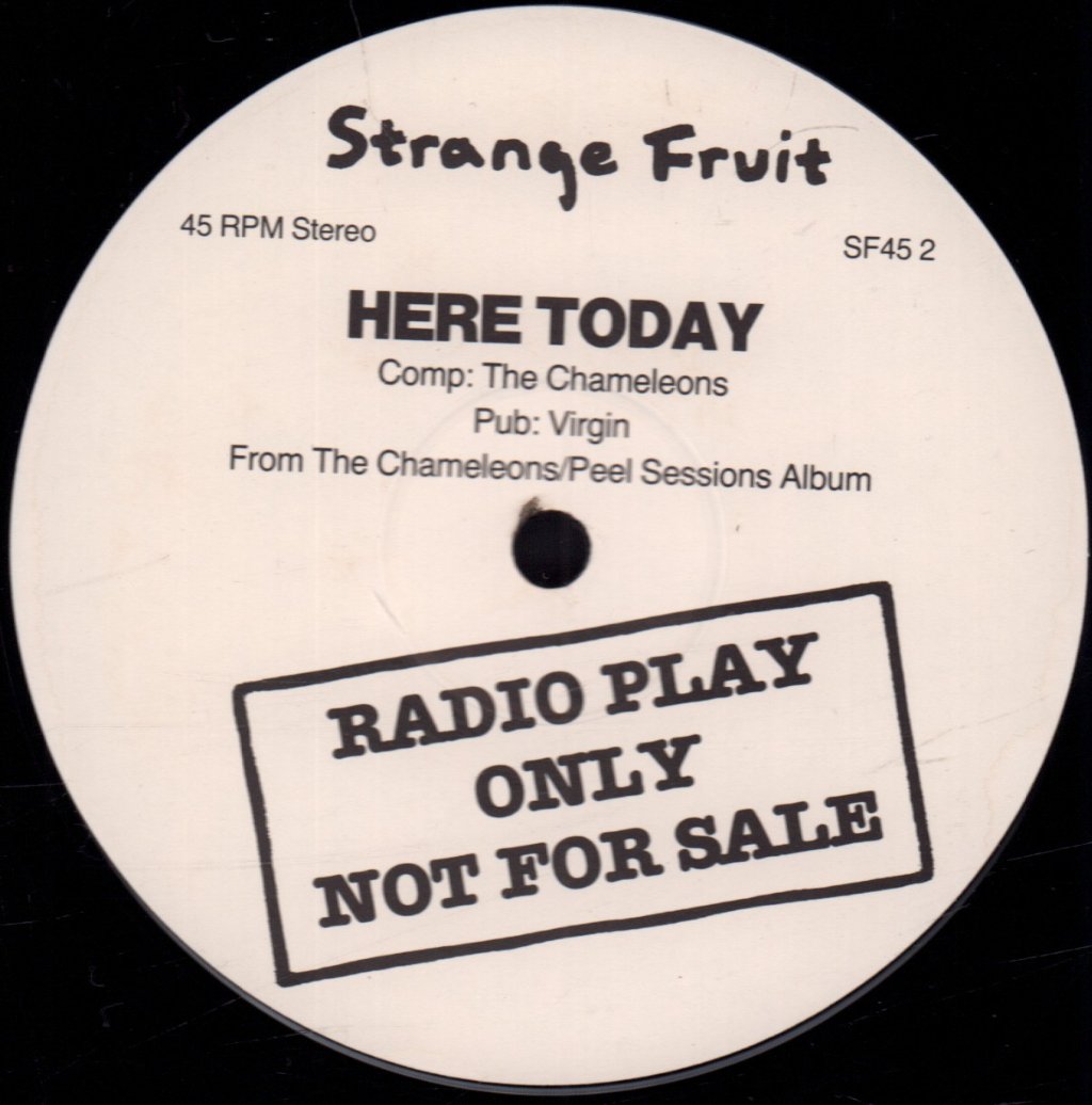 New Fast Automatic Daffodils / Chameleons - Big In Manchester/Here Today - 12 Inch