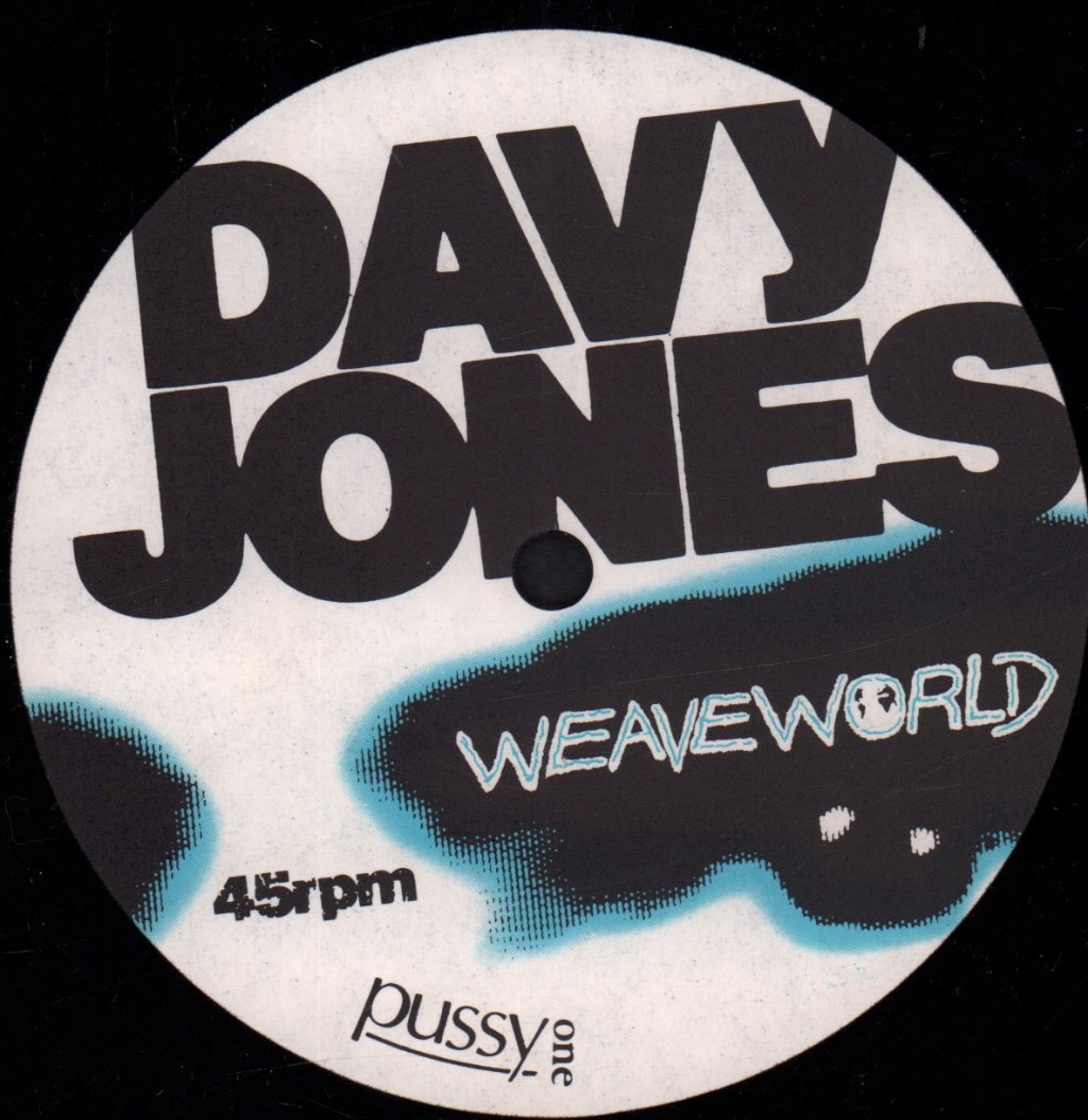 Weaveworld - Davy Jones - 12 Inch