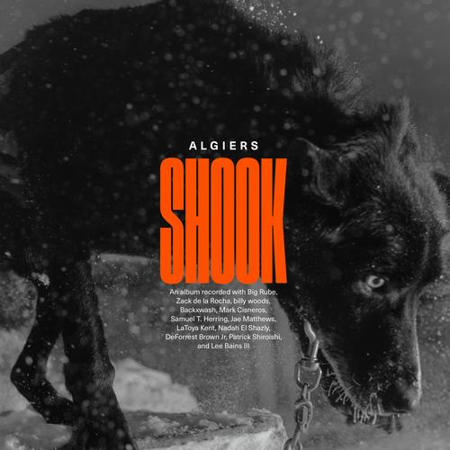 Algiers - Shook - Lp