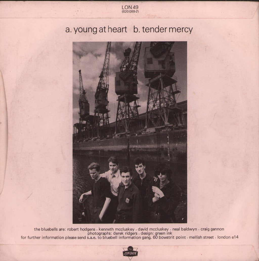 Bluebells - Young At Heart - 7 Inch