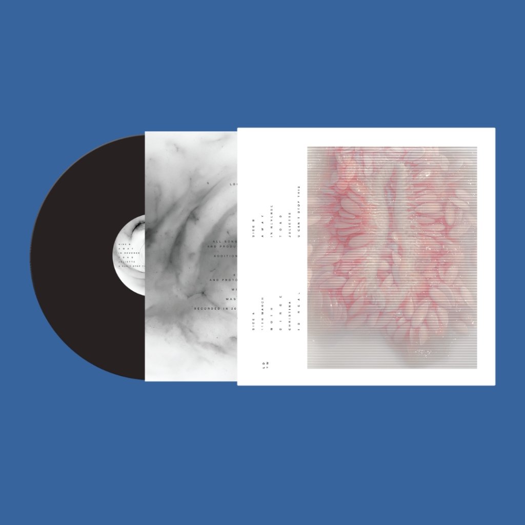 Look Outside Your Window - Look Outside Your Window - Lp