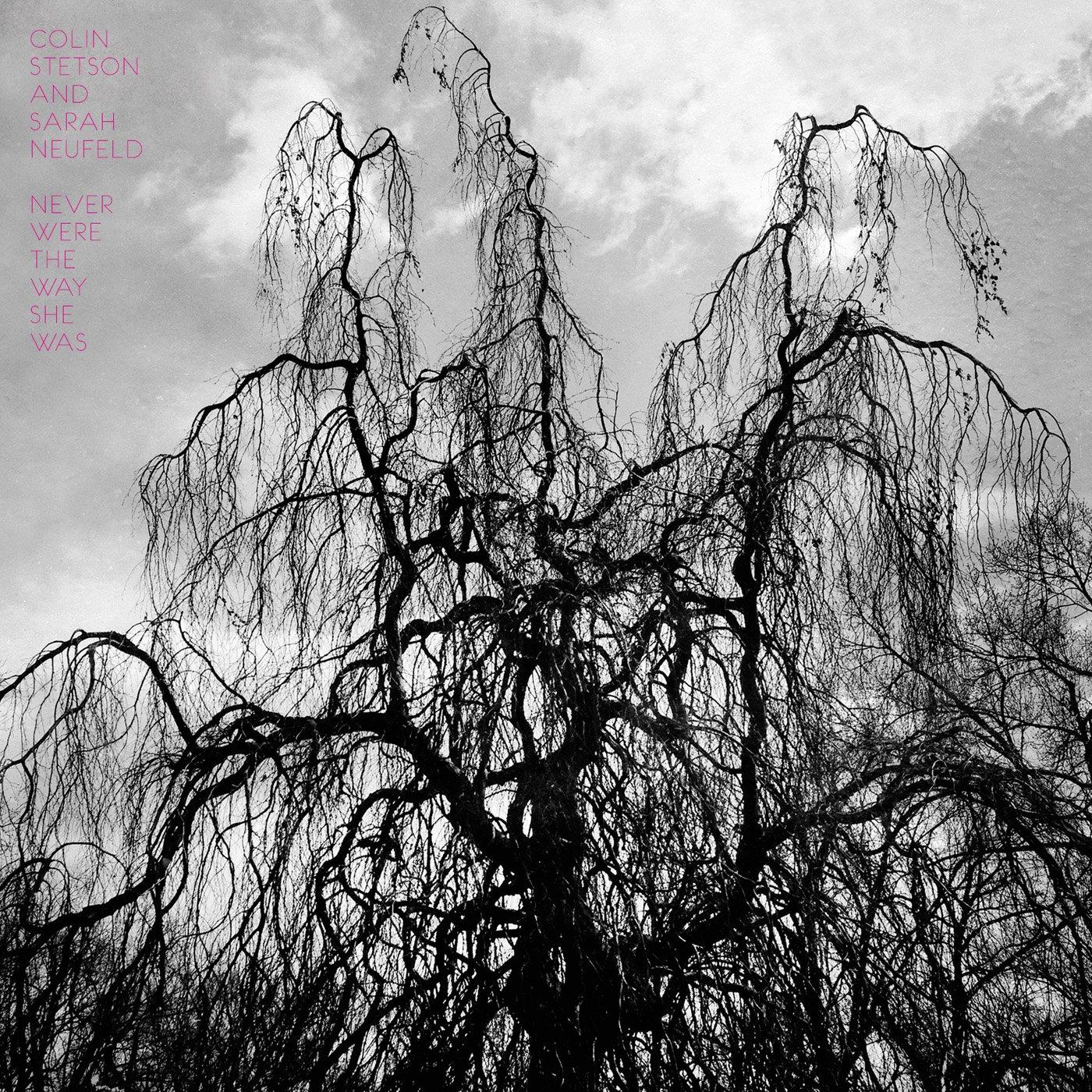 Colin Stetson And Sarah Neufeld - Never Were the Way She Was - Cd