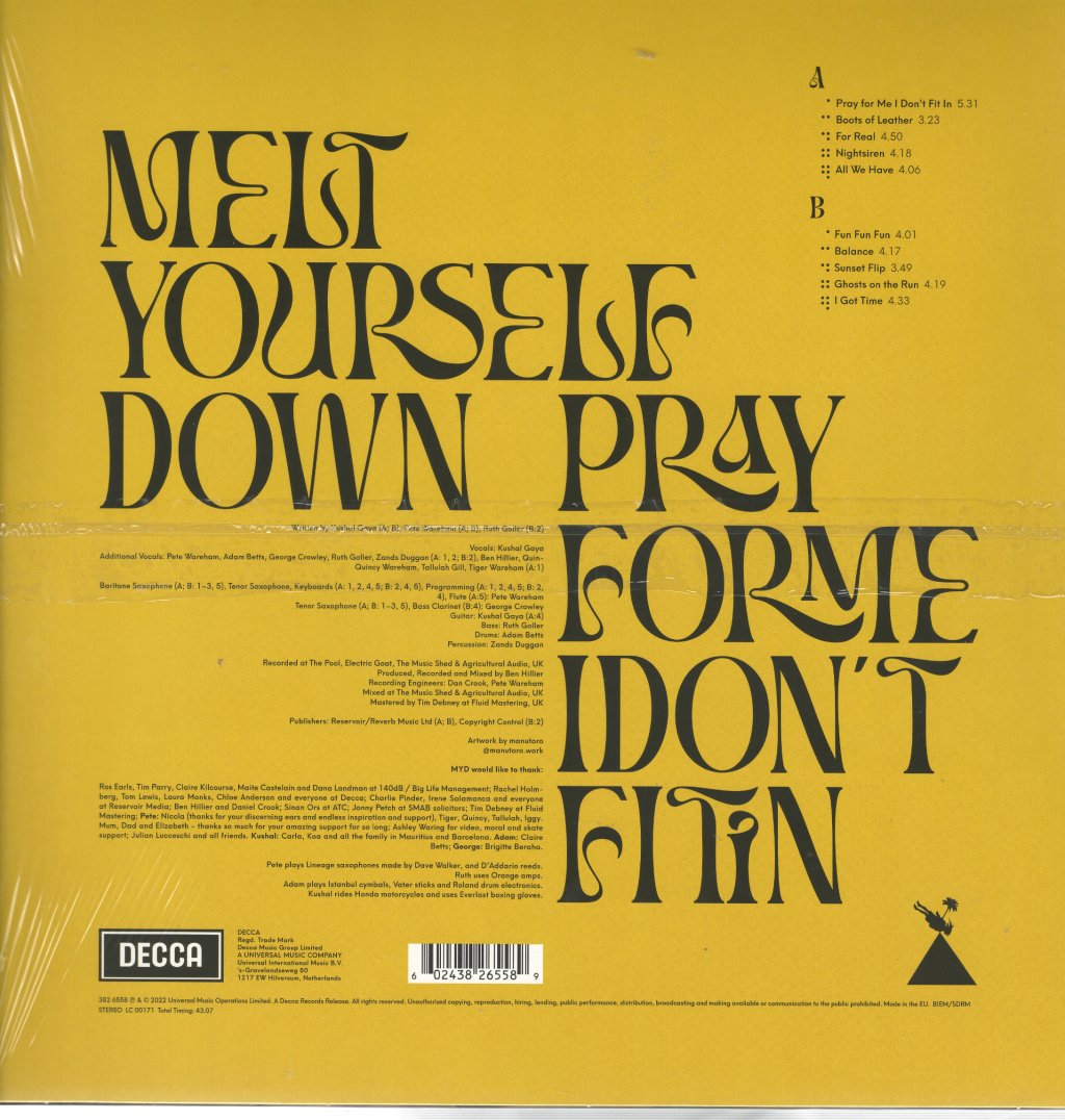Melt Yourself Down - Pray For Me I Don’t Fit In - Lp
