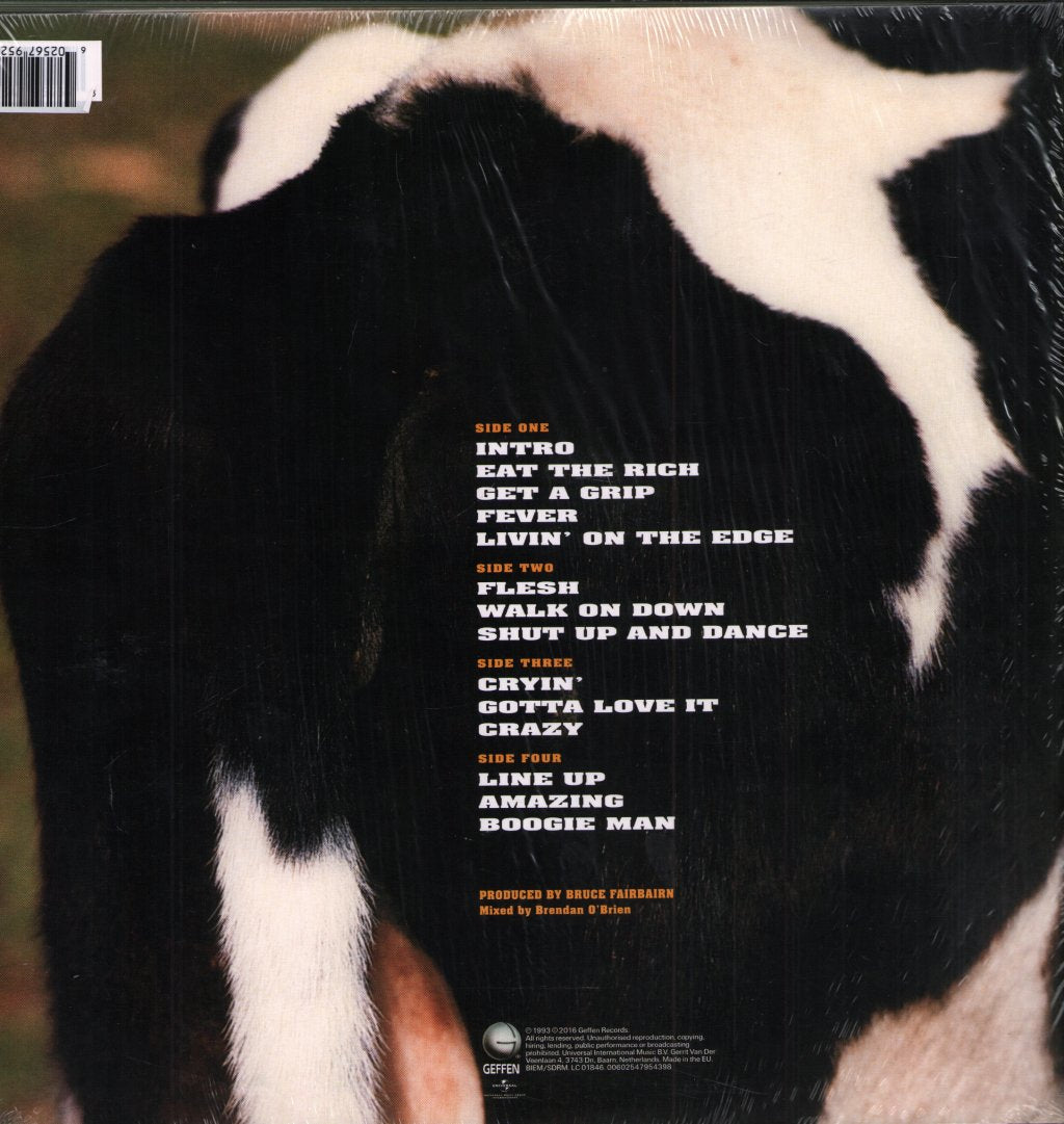 Aerosmith - Get A Grip - Double Lp