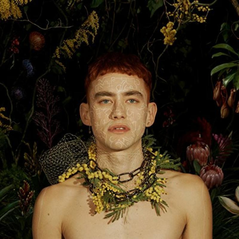 Years And Years (OLLY ALEXANDER) - Palo Santo - Lp