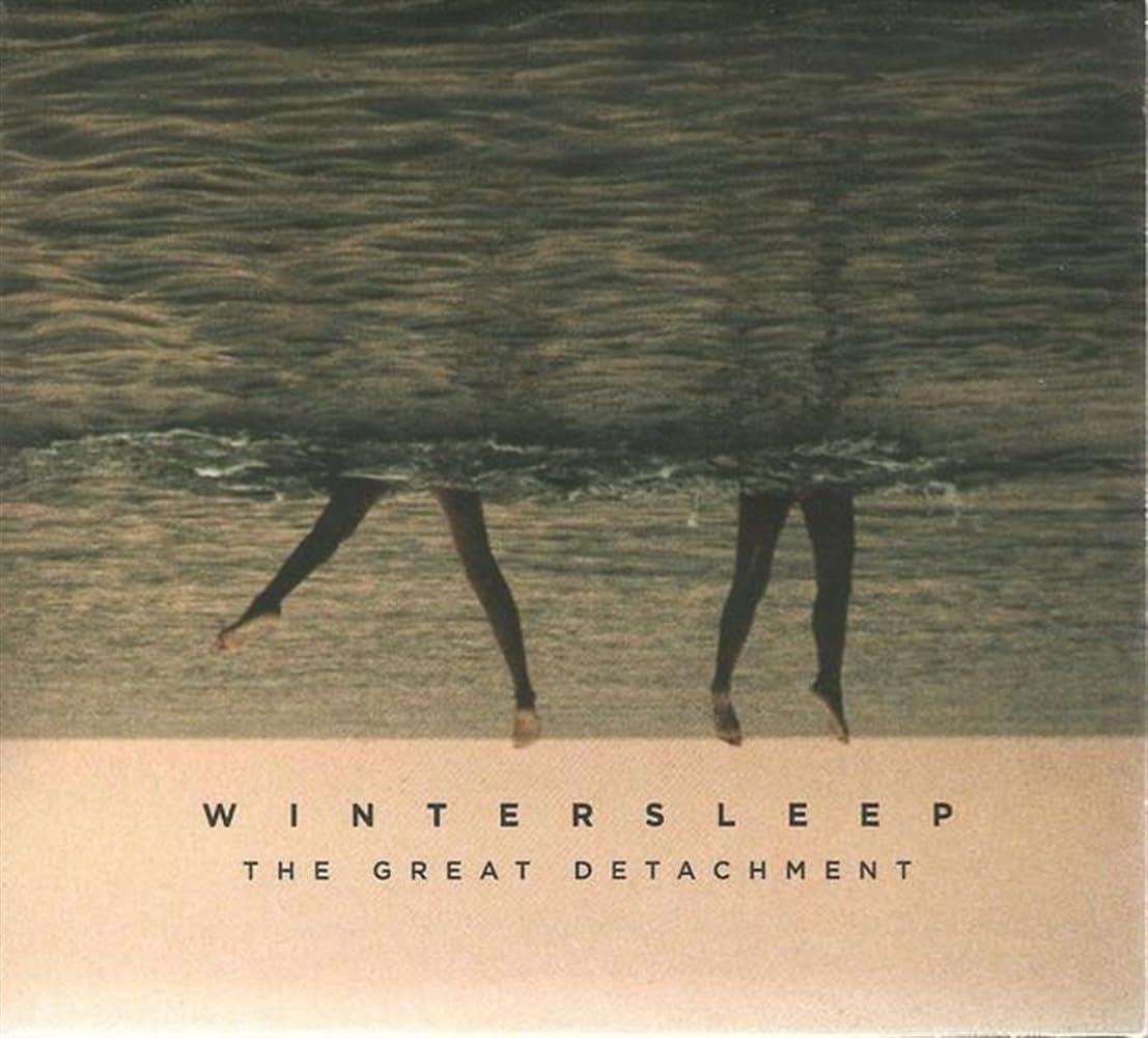 Wintersleep - Great Detachment - Cd