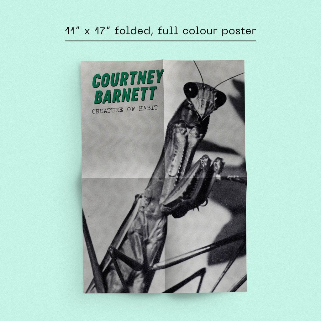Courtney Barnett - Creature Of Habit (Dinked Edition #390) - Lp