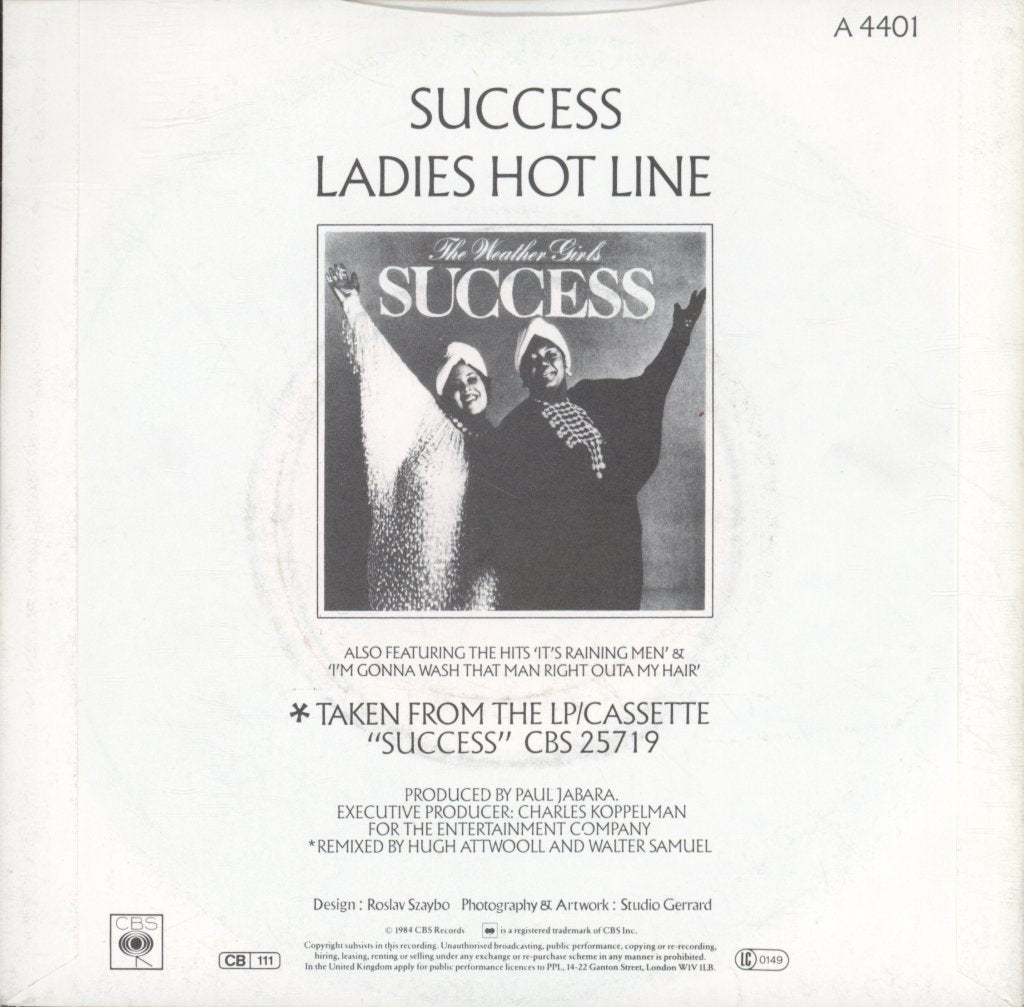 Weather Girls - Success - 7 Inch